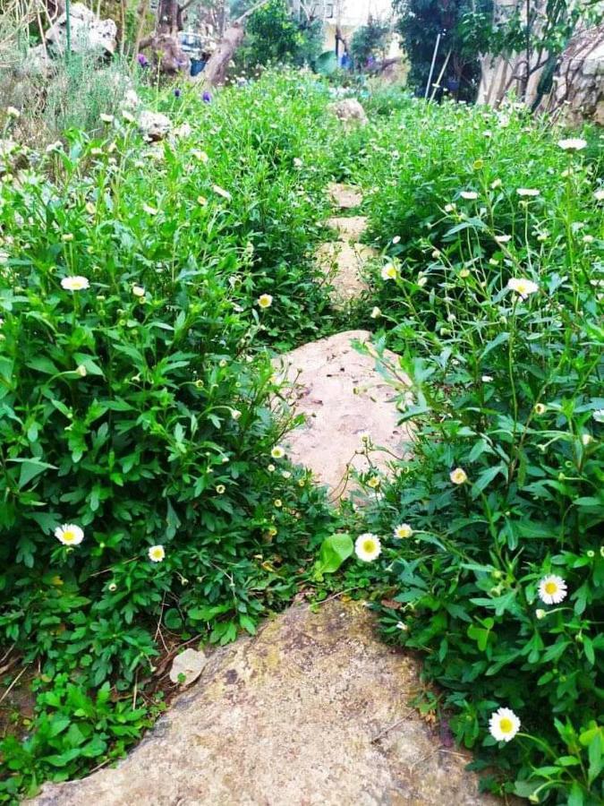 Olive Lemon Biophilic House & Lush Forest Garden Vamos Exterior foto