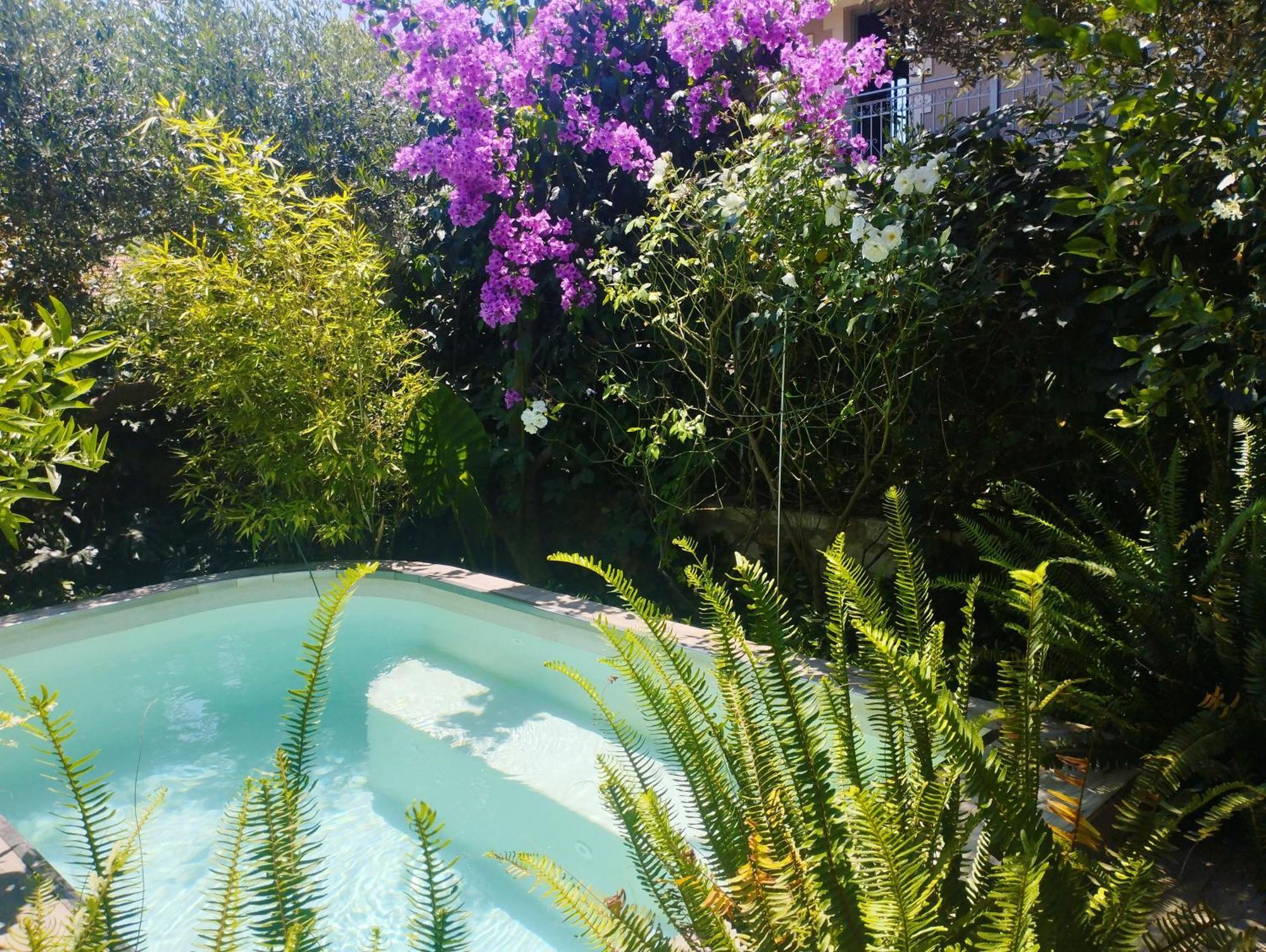 Olive Lemon Biophilic House & Lush Forest Garden Vamos Exterior foto