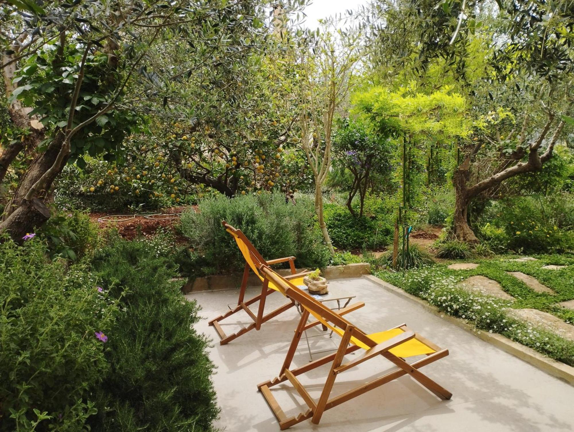 Olive Lemon Biophilic House & Lush Forest Garden Vamos Habitación foto