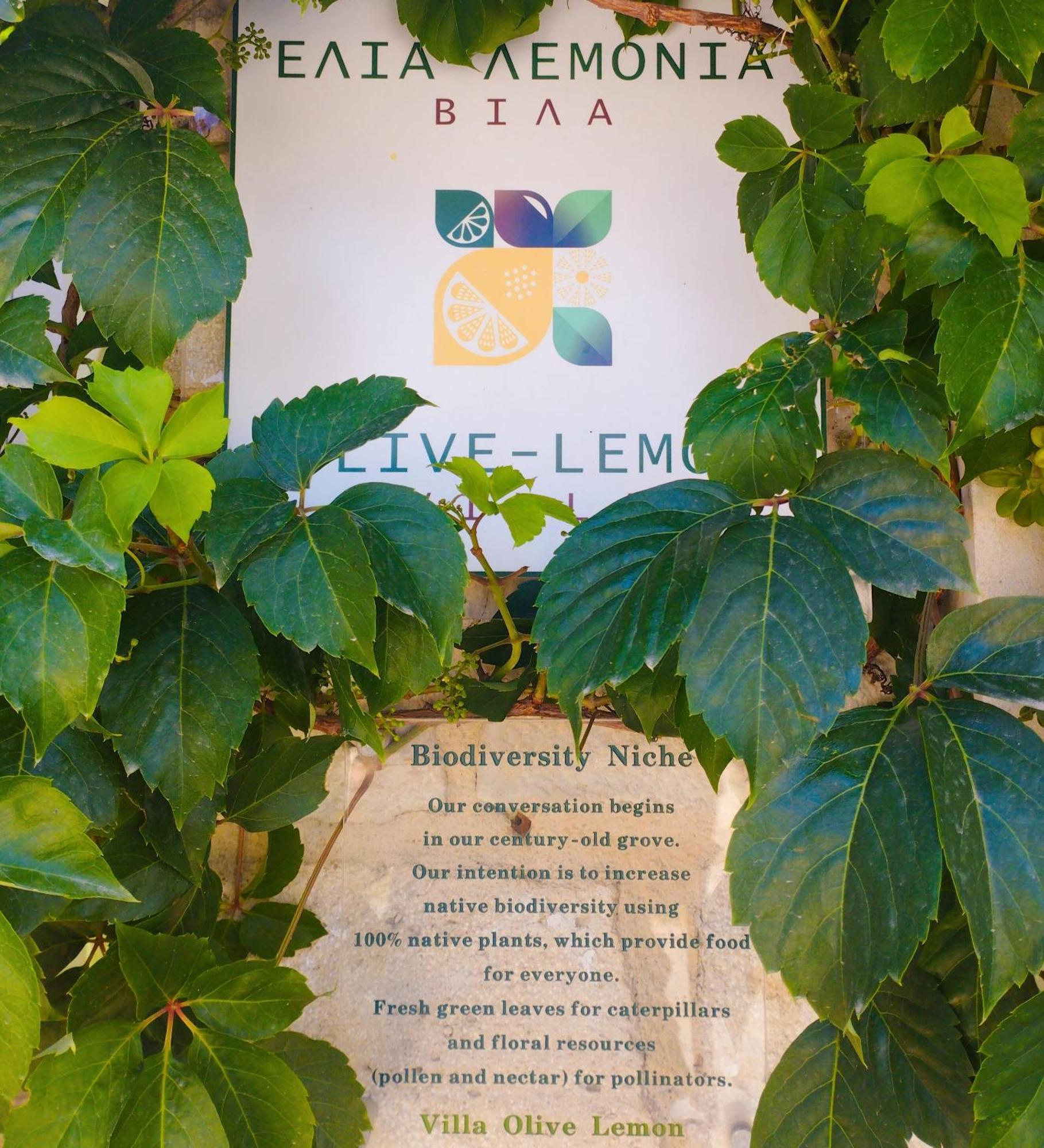 Olive Lemon Biophilic House & Lush Forest Garden Vamos Habitación foto